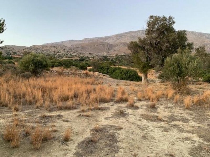 Ag. Paraskevi bei Triopetra Kreta, Agia Paraskevi: Bebaubares Grundstück in der Nähe der Strände Triopetra und Ligres zu verkaufen Grundstück kaufen